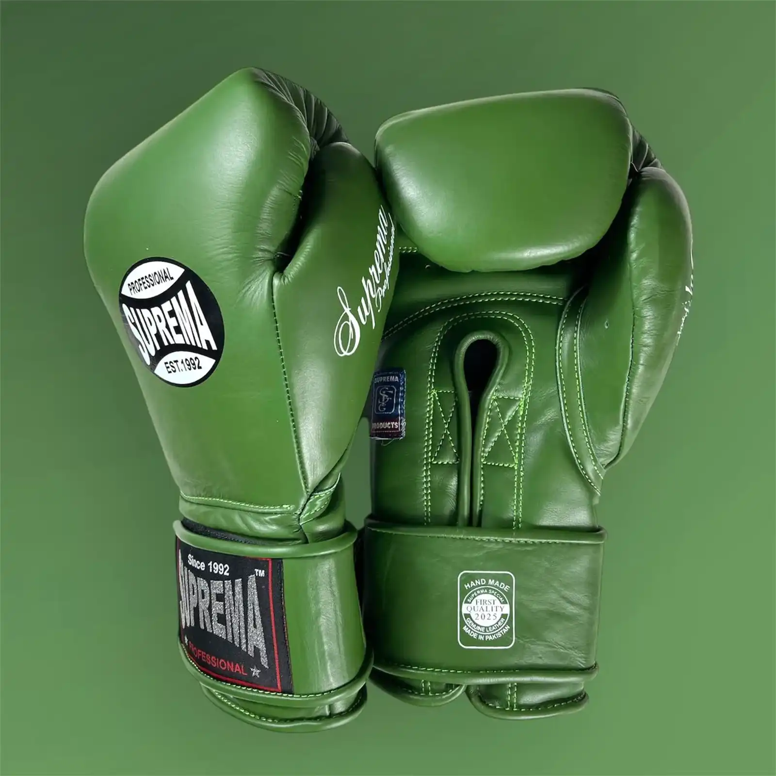 Professionnel Boxing Gear An Ultimate Brand of Combat Sports Find your Passions-1