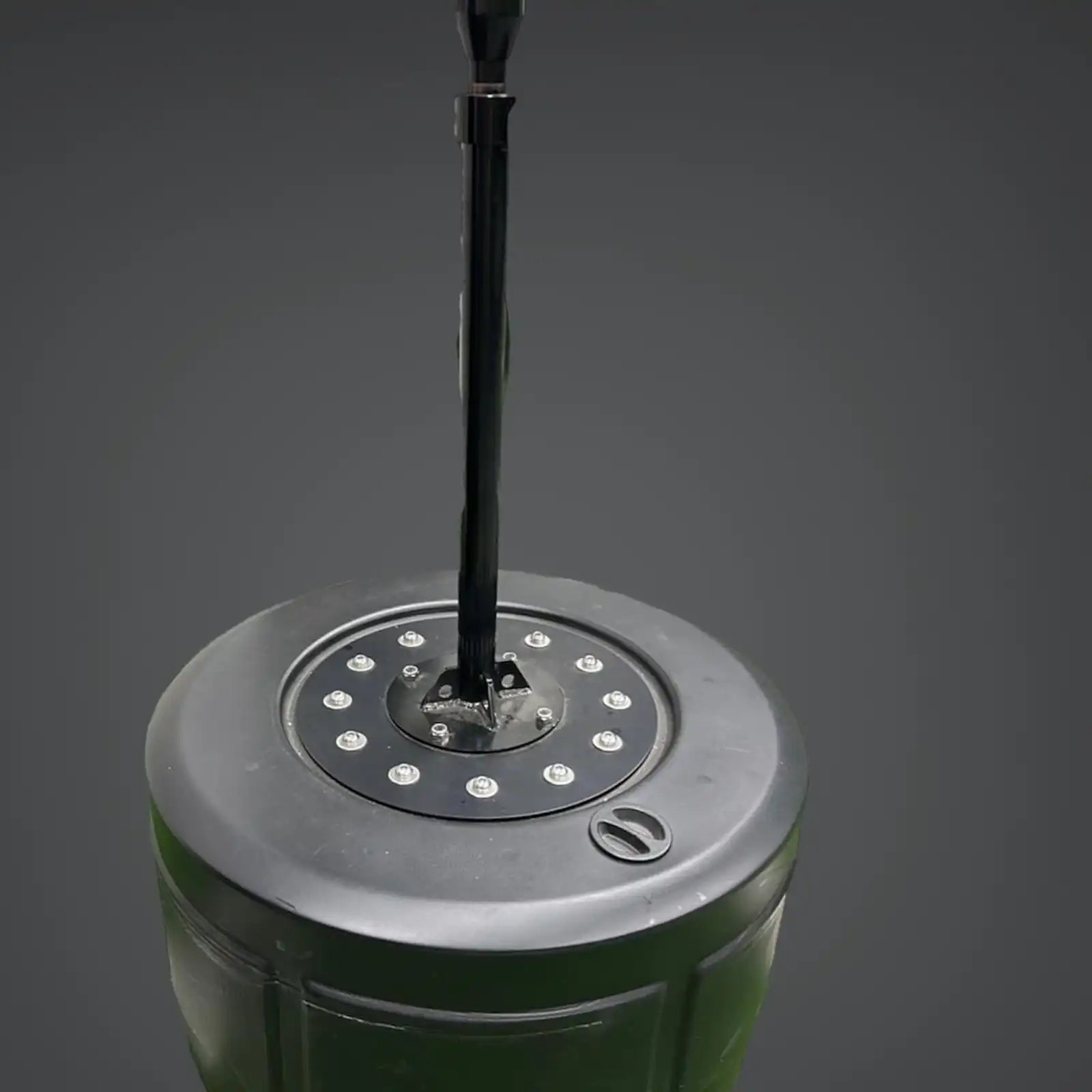 high-speed-cobra-punch-ball-2